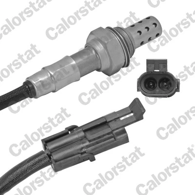 Oxygen Sensor